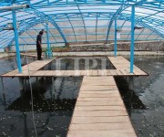 Technopark Samosir, Sumatera Utara